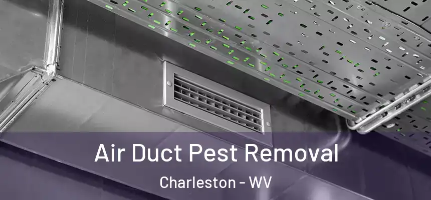 Air Duct Pest Removal Charleston - WV