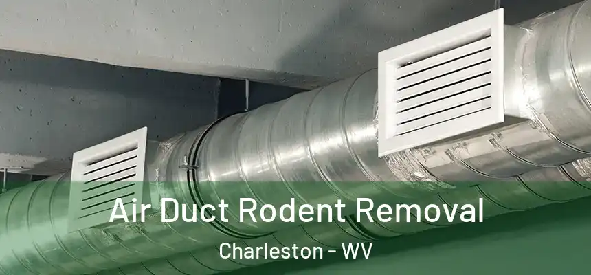  Air Duct Rodent Removal Charleston - WV