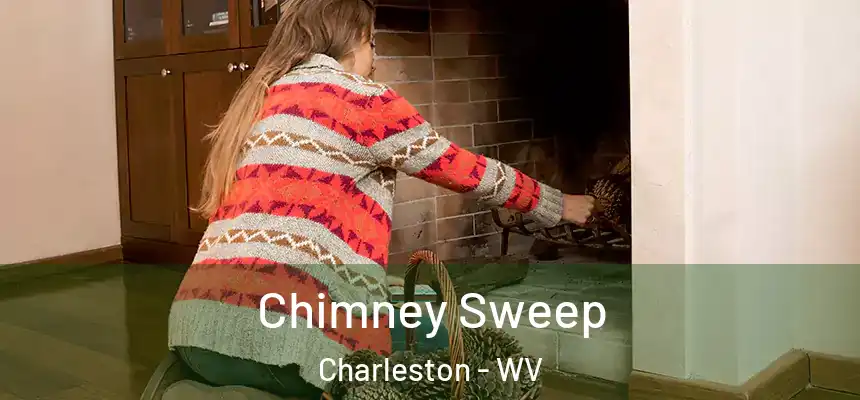 Chimney Sweep Charleston - WV
