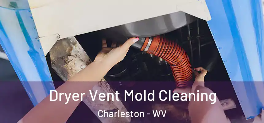 Dryer Vent Mold Cleaning Charleston - WV