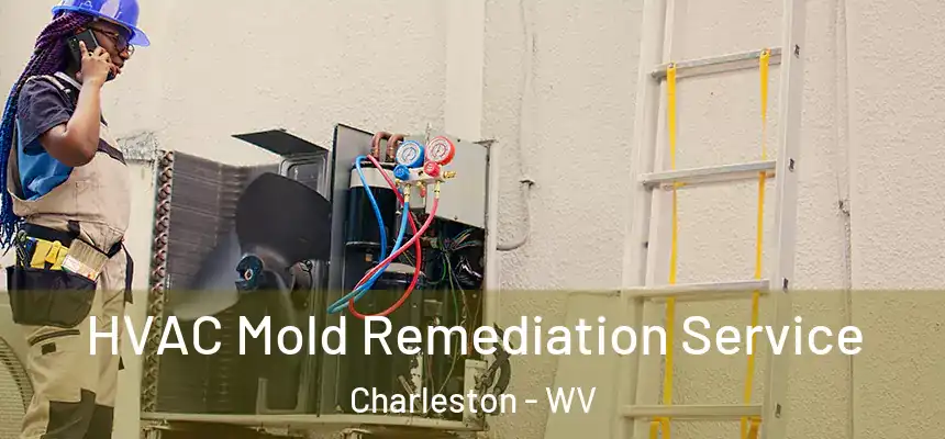  HVAC Mold Remediation Service Charleston - WV