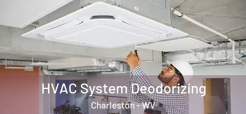 HVAC System Deodorizing Charleston - WV