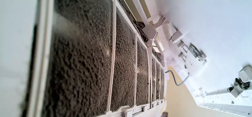 Preventive Air Duct Bacteria Removal in Charleston