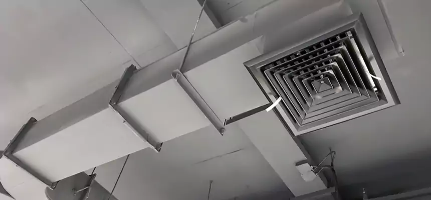 Restorative Allergy Relief Vent Cleaning – Coil, Blower & Housing Detail in Charleston