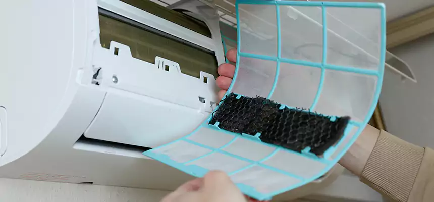 Gentle Ductwork Odor-Control Pet Dander Duct Cleaning in Charleston, WV