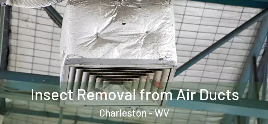  Insect Removal from Air Ducts Charleston - WV