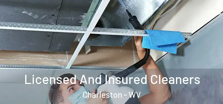 Licensed And Insured Cleaners Charleston - WV