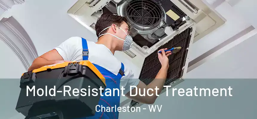  Mold-Resistant Duct Treatment Charleston - WV