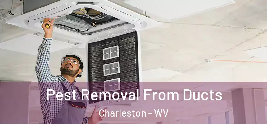 Pest Removal From Ducts Charleston - WV