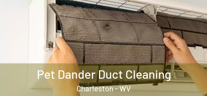 Pet Dander Duct Cleaning Charleston - WV