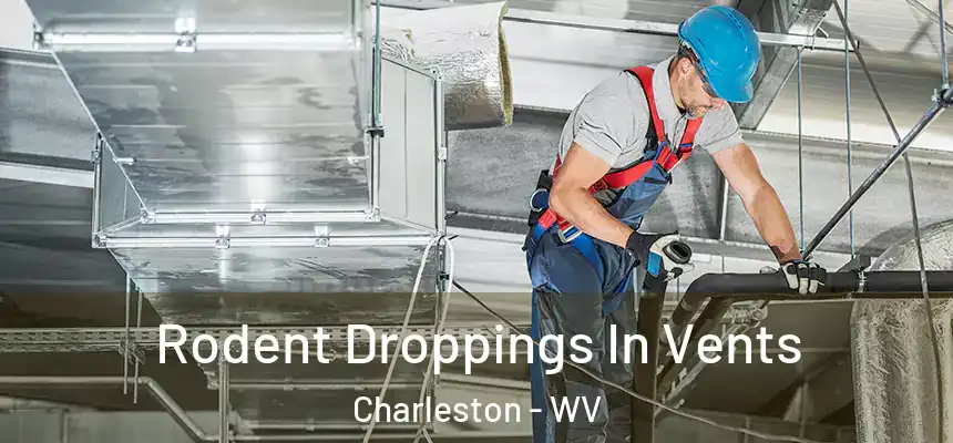  Rodent Droppings In Vents Charleston - WV