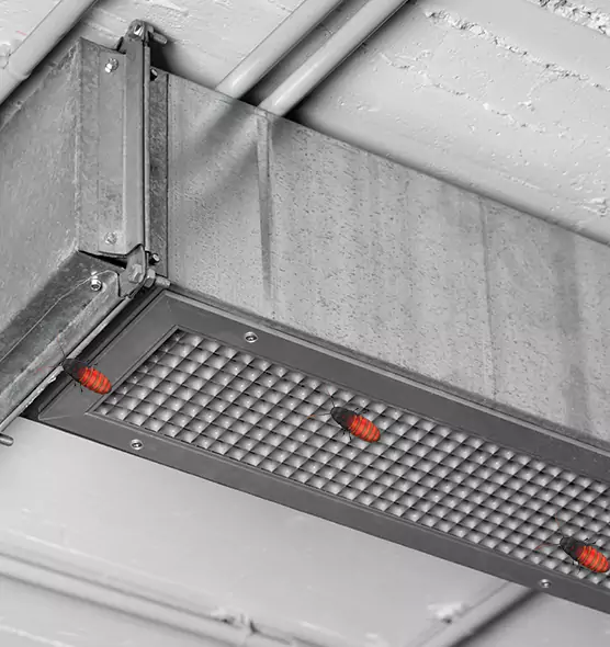 About Air Duct Cockroach Removal in Charleston, WV