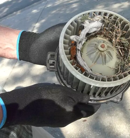 About Air Duct Mice Removal in Charleston, WV