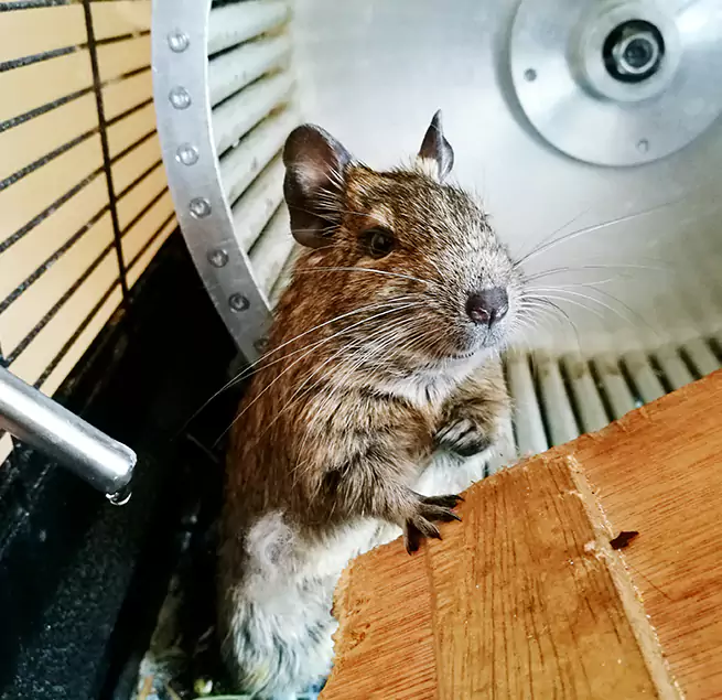 Why Homeowners & Businesses Trust Us Charleston, WV?